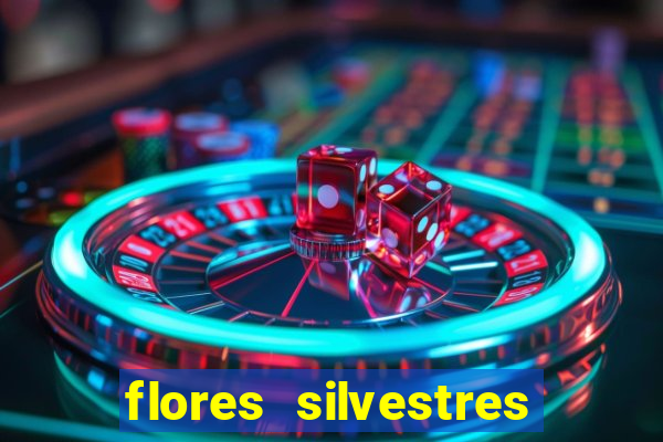 flores silvestres desbravadores desbravadores 25 flores silvestres e seus nomes